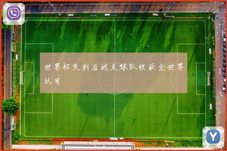 世界杯失利后这支球队收获全世界认可