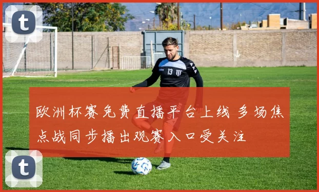 欧洲杯赛免费直播平台上线 多场焦点战同步播出观赛入口受关注