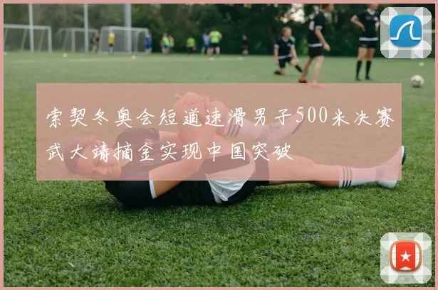 索契冬奥会短道速滑男子500米决赛武大靖摘金实现中国突破