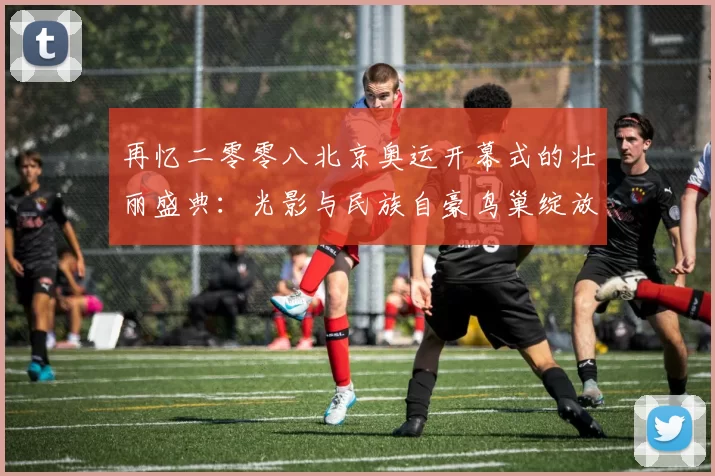 再忆二零零八北京奥运开幕式的壮丽盛典：光影与民族自豪鸟巢绽放